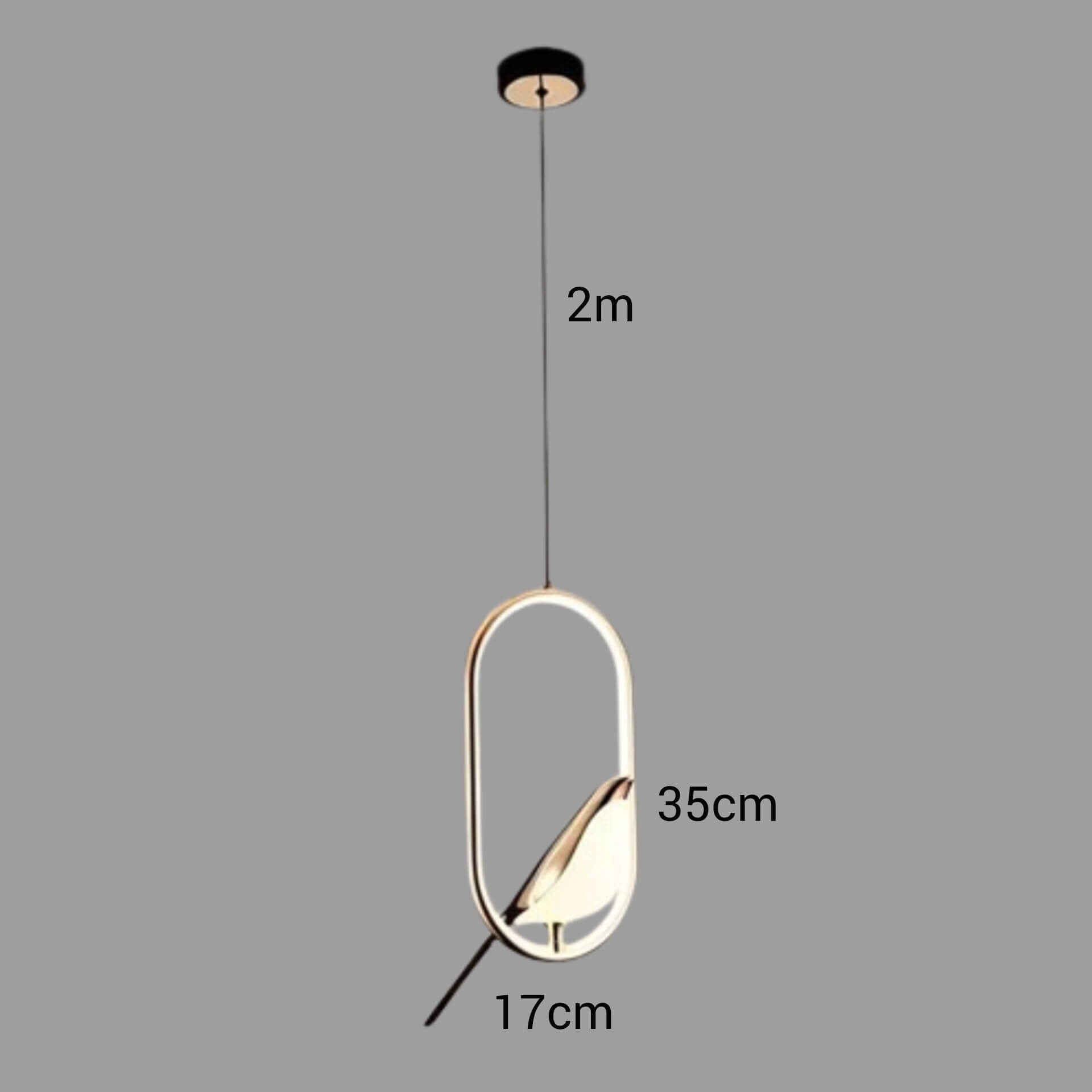 Pendente Bird Led