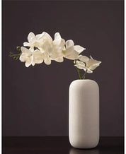 Vaso Minimalista
