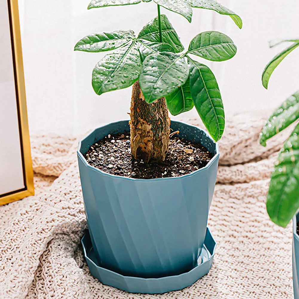 Vaso Colors Listrado para Varanda