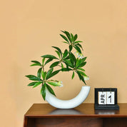 Vaso Ornamento Meia Lua