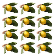 Jogo Anéis de Guardanapo Formato Limão 6 ou 12 Pcs