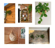 Cesta de Parede para Plantas - Individual ou 2pcs