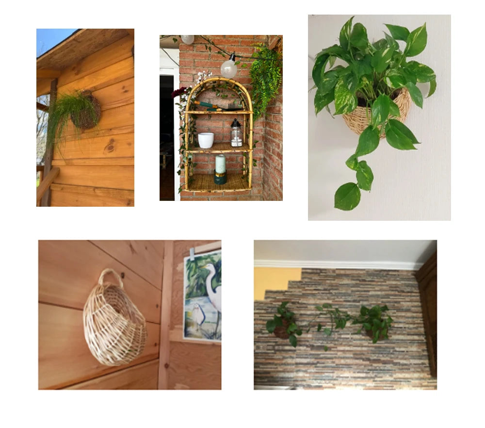 Cesta de Parede para Plantas - Individual ou 2pcs
