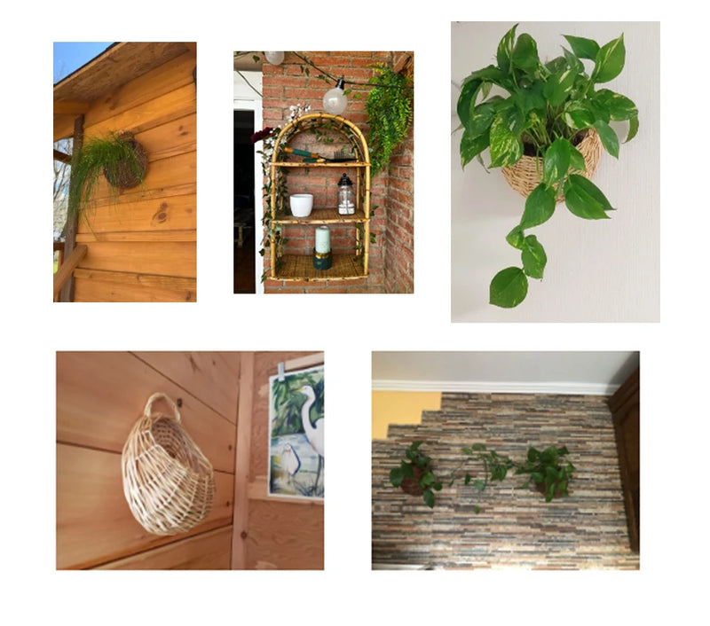 Cesta de Parede para Plantas - Individual ou 2pcs